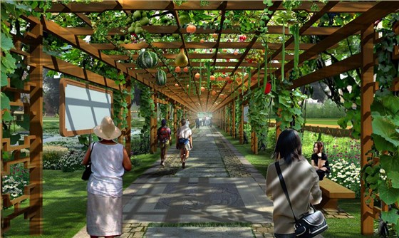 体验式景观之采摘园