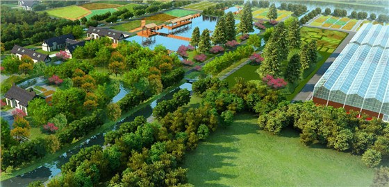 基头及大汾观光农业园鸟瞰图