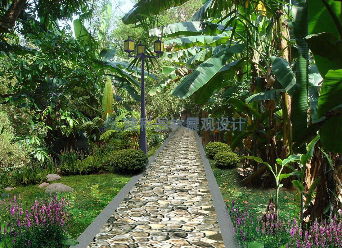 景观设计图片