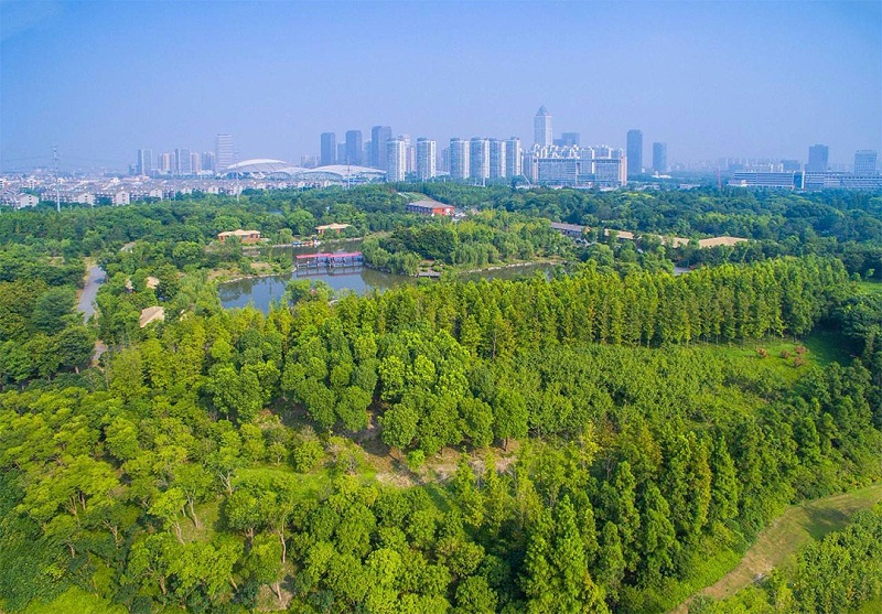 城市园林设计图片