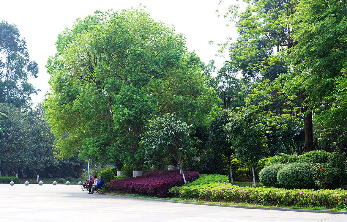 公园景观设计图片