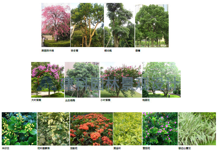 企业厂区景观规划设计案例          随着季节的变化,植物的色彩,芳香